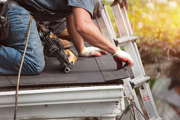 Best Roof Gutter Cleaning  in Fort Smith, AR
